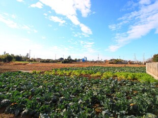 藤和荘の物件外観写真